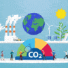 Carbon Neutral companies
